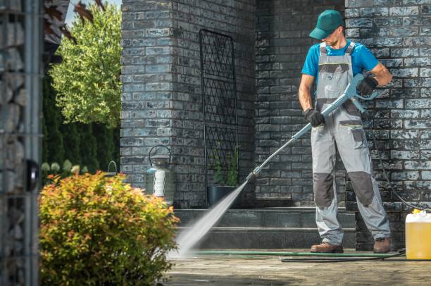 Best Solar Panel Cleaning  in South Rosemary, NC